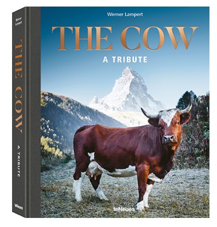 The Cow by Werner Lampert illustrated book cover